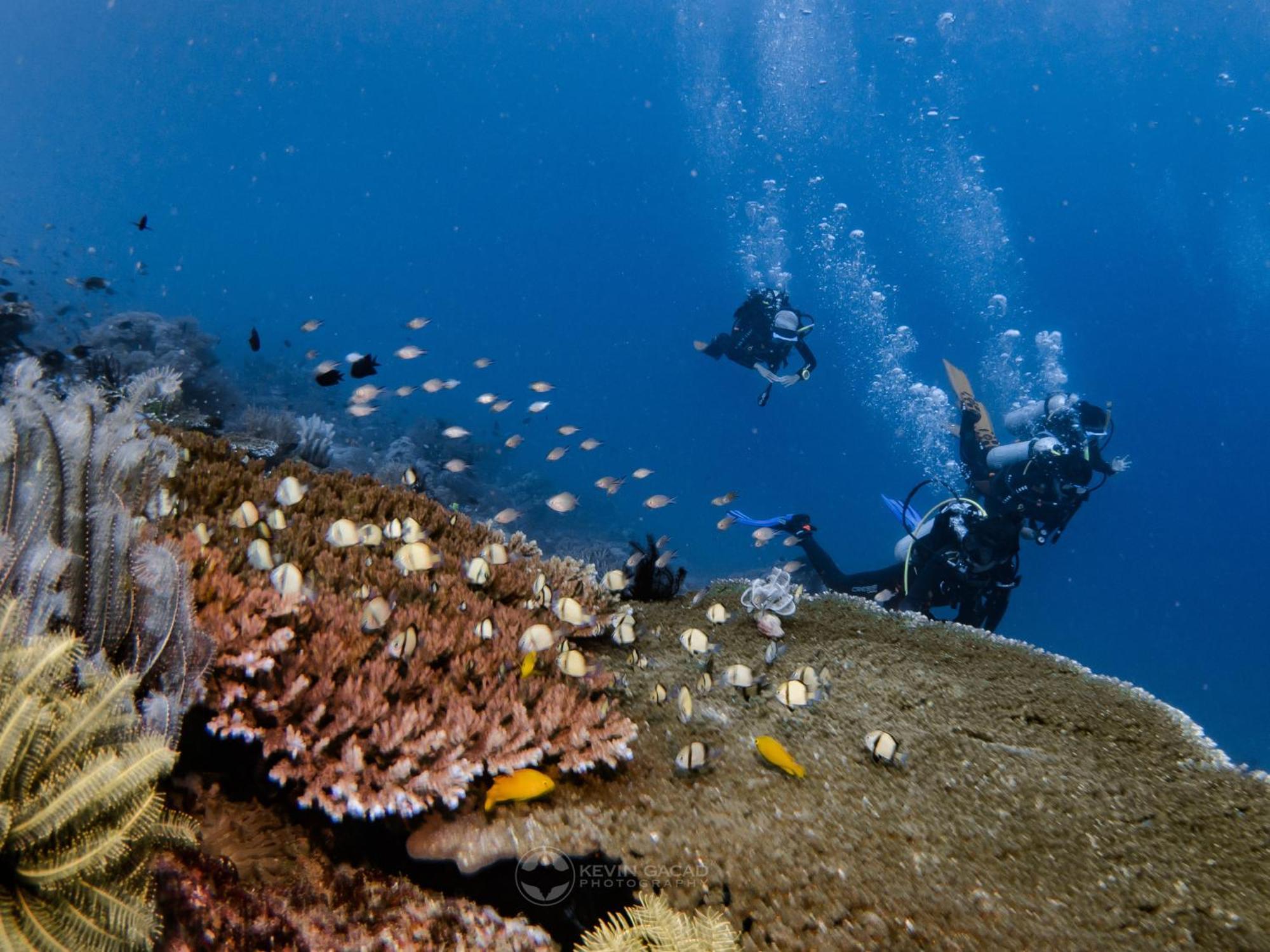 פוארטו גאלרה Badladz Beach And Dive Resort מראה חיצוני תמונה